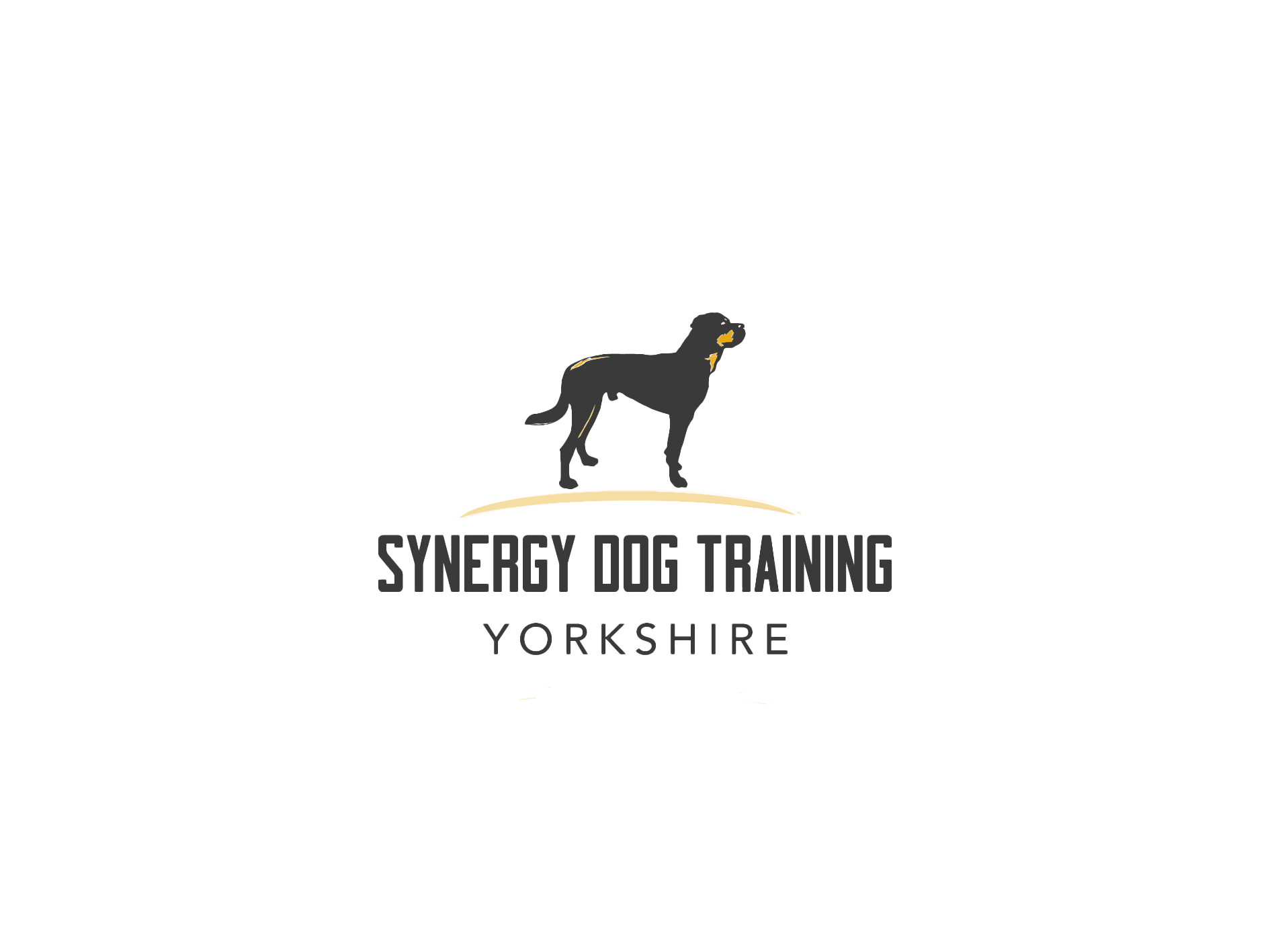 Synergy Dog Training Logo